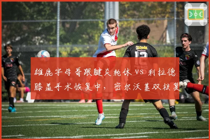 雄鹿字母哥跟腱炎轮休 vs 利拉德膝盖手术恢复中,密尔沃基双核复出计划谁更谨慎?