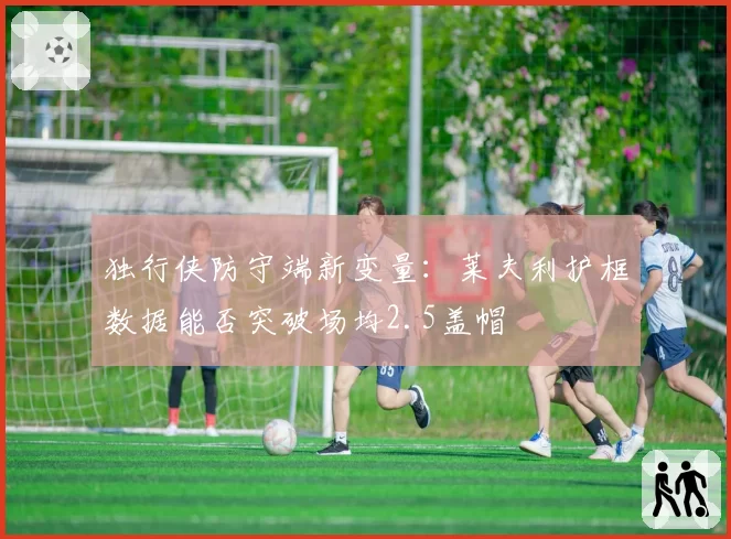 独行侠防守端新变量:莱夫利护框数据能否突破场均2.5盖帽