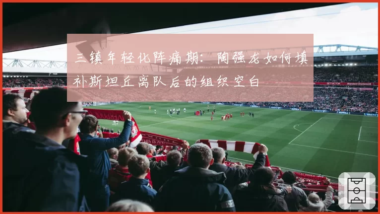 三镇年轻化阵痛期：陶强龙如何填补斯坦丘离队后的组织空白