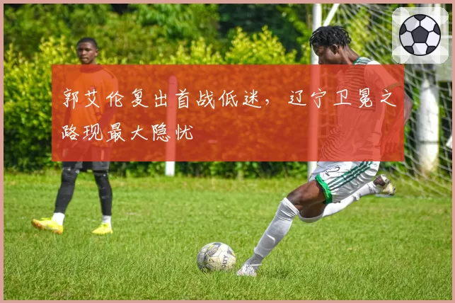 郭艾伦复出首战低迷，辽宁卫冕之路现最大隐忧